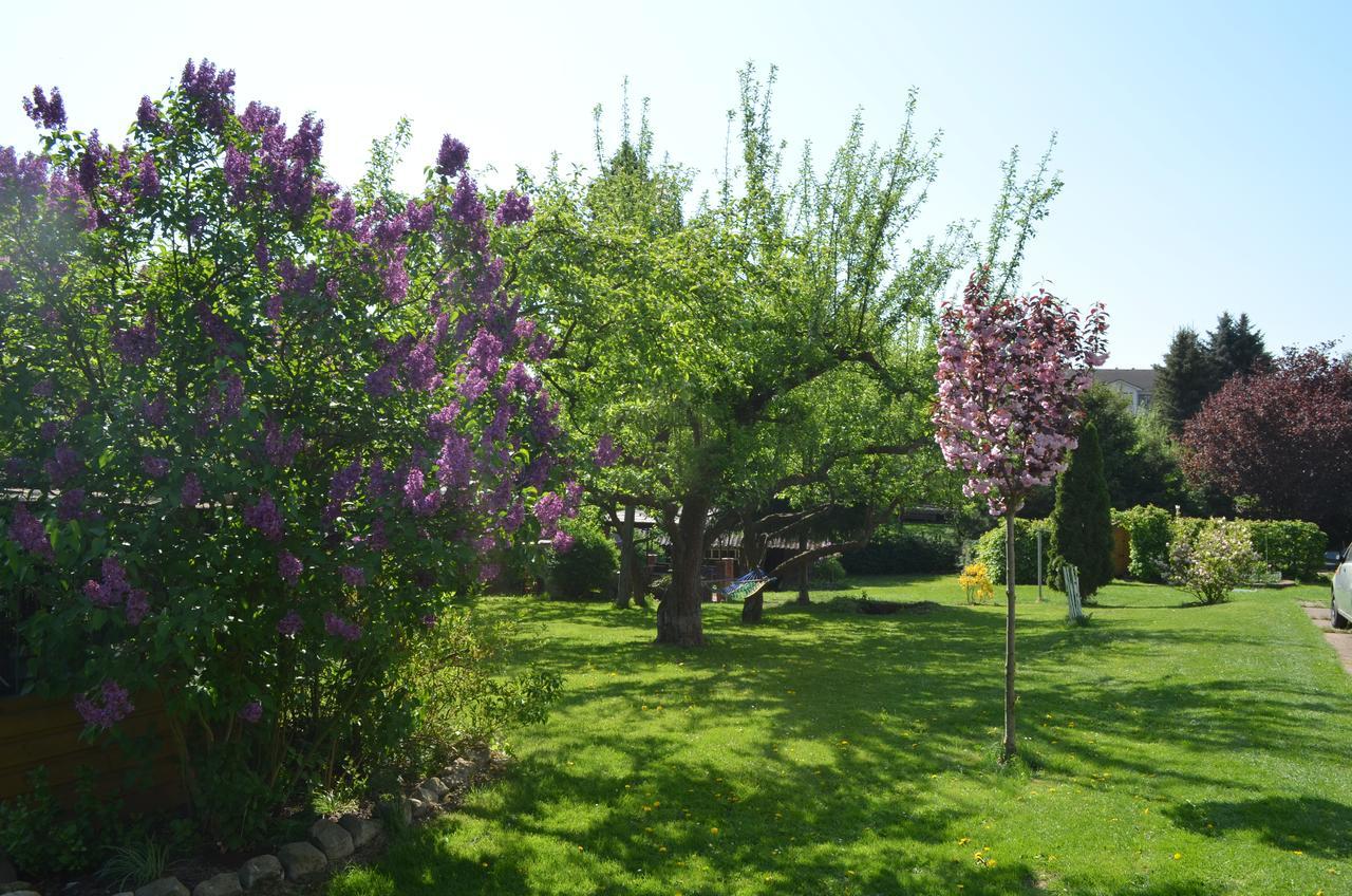 Ubytovani Janina Daire Broumov Dış mekan fotoğraf